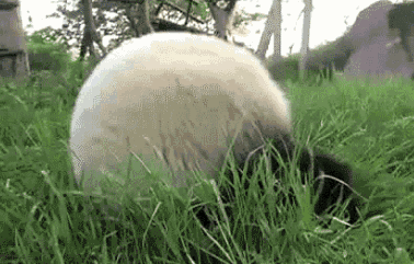 松了!聊聊下半年值得期待的国内新赛事k8凯发国际这些美食之城也将举办马拉(图10) 松了!聊聊下半年值得期待的国内新赛事k8凯发国际这些美食之城也将举办马拉(图10)